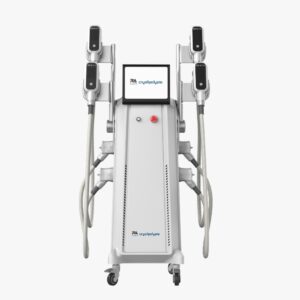 Cryolipolyse 360° – Professionele Vetbevriezing zonder Chirurgie